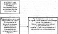 रूस में पेंशन प्रणाली के सुधार के हिस्से के रूप में श्रम पेंशन आवंटित करने की शर्तें