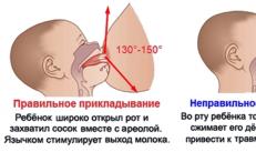 एक नर्सिंग मां के लिए मेमो: एक नवजात शिशु को स्तन के दूध के साथ ठीक से कैसे खिलाना है एक बच्चे को मां के स्तन से दूध पिलाने के नियम